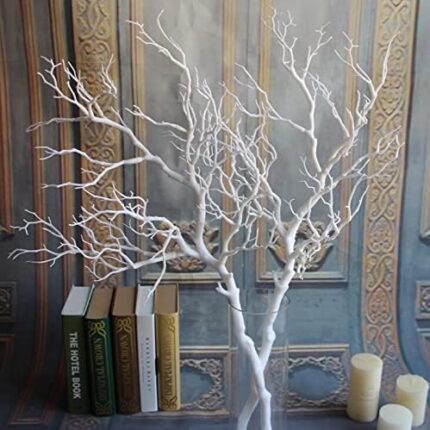 Ukrasna grana bijela