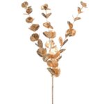 Ukrasna grana zlatni eukaliptus