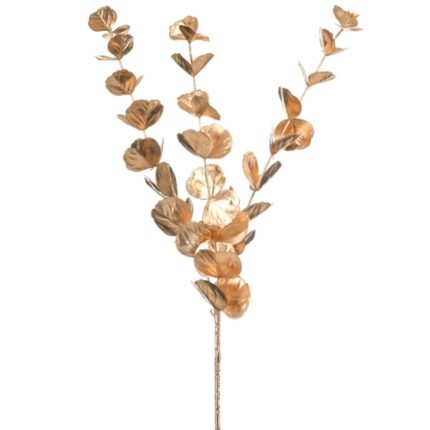 Ukrasna grana zlatni eukaliptus